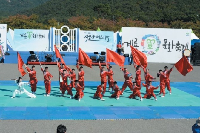 2015 계룡군문화축제 공연_19